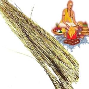 DARBHA