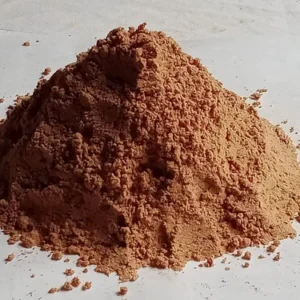 DASANGAM