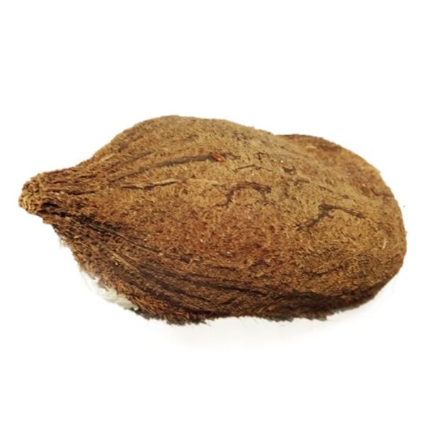 EKASHI NARRIKELA