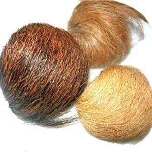 KASTURI KAYA