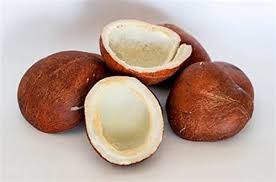 YENDI KOBBARI
